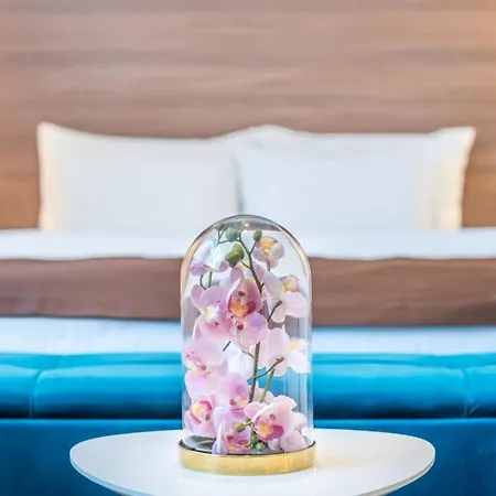 Veneti Daire Belgrad